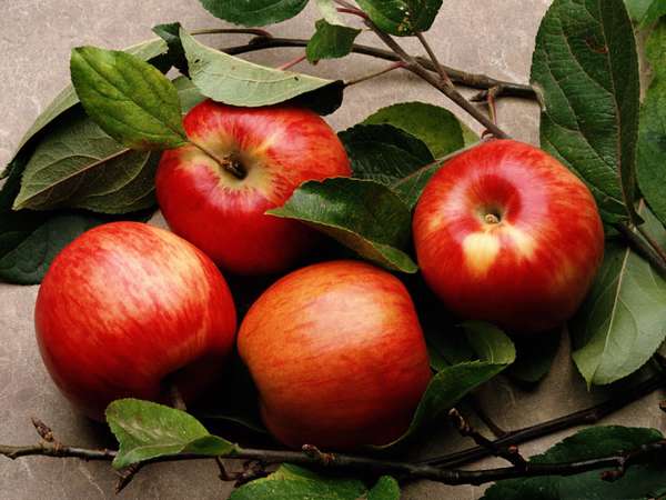 Диета на яблоках
